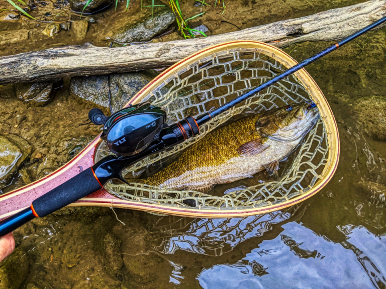 Smallmouth Bait Finesse