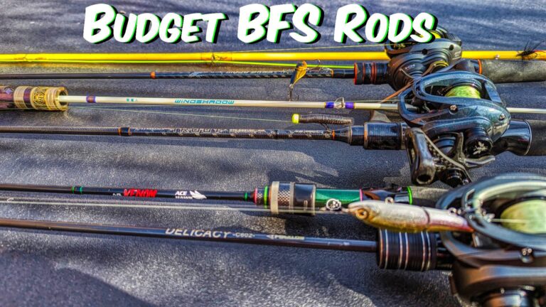 The Best Budget BFS Fishing Rods