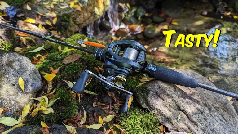 Exploring the Mavllos Delicacy Rod - The Ultimate Budget Fishing Rod? -  Welcome to Aaron Hunt Fishing