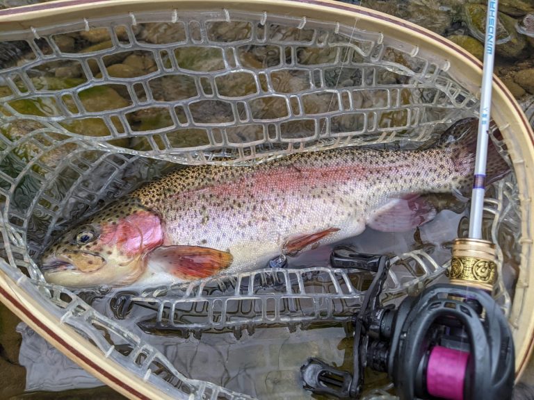 pink braided fishing line and rainbow trout