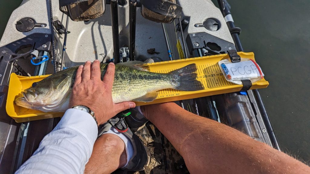 Big Bass caught on Hobie Fishing Kayak