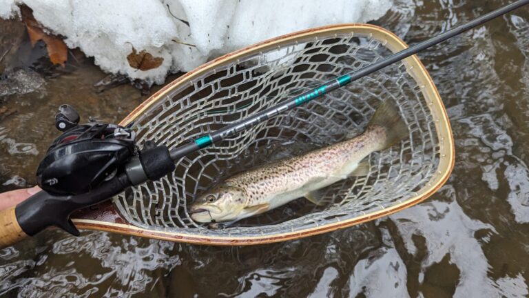 Winter Bait Finesse Trout Fishing