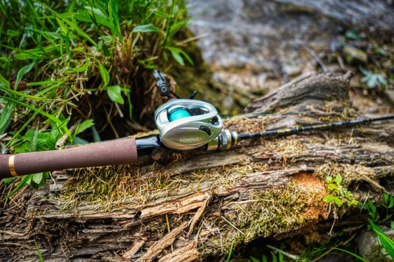 Best BFS Rod and Reel Combo under $80: Ace Hawk CU Double and Doviello Acura